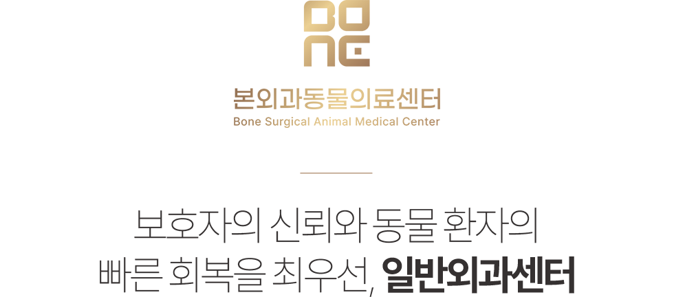 본외과동물의료센터 일반외과센터