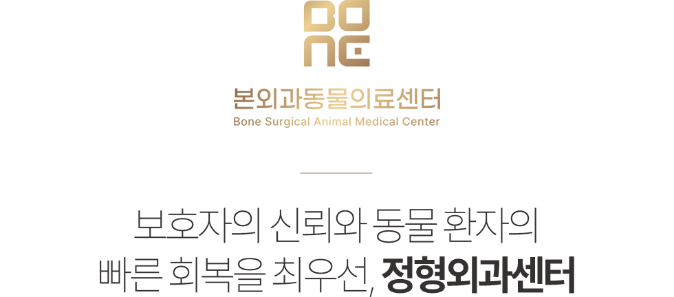 본외과동물의료센터 정형외과센터