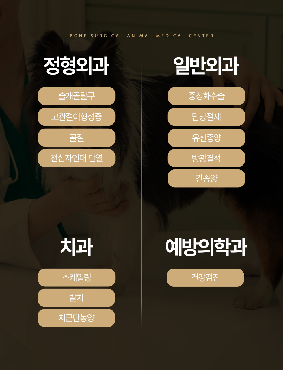 정형외과, 일반외과, 치과, 예방의학과