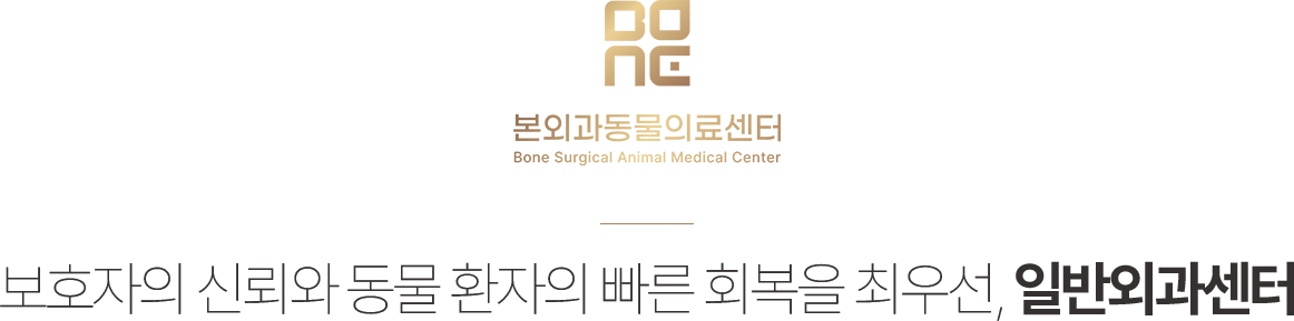 본외과동물의료센터 일반외과센터