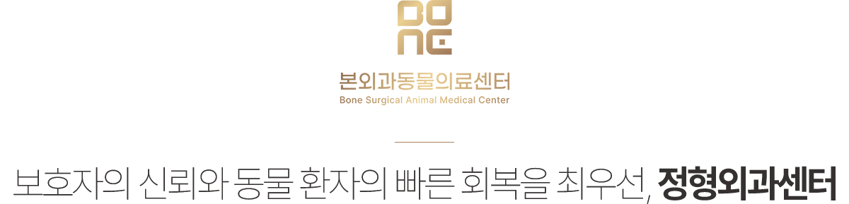 본외과동물의료센터 정형외과센터