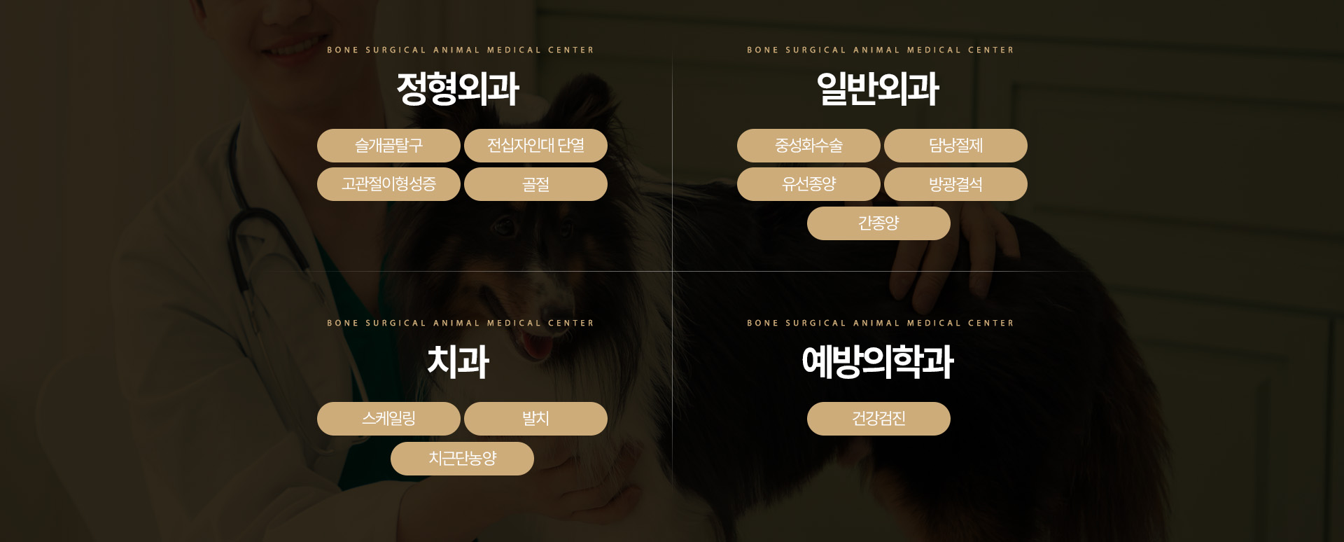 정형외과, 일반외과, 치과, 예방의학과